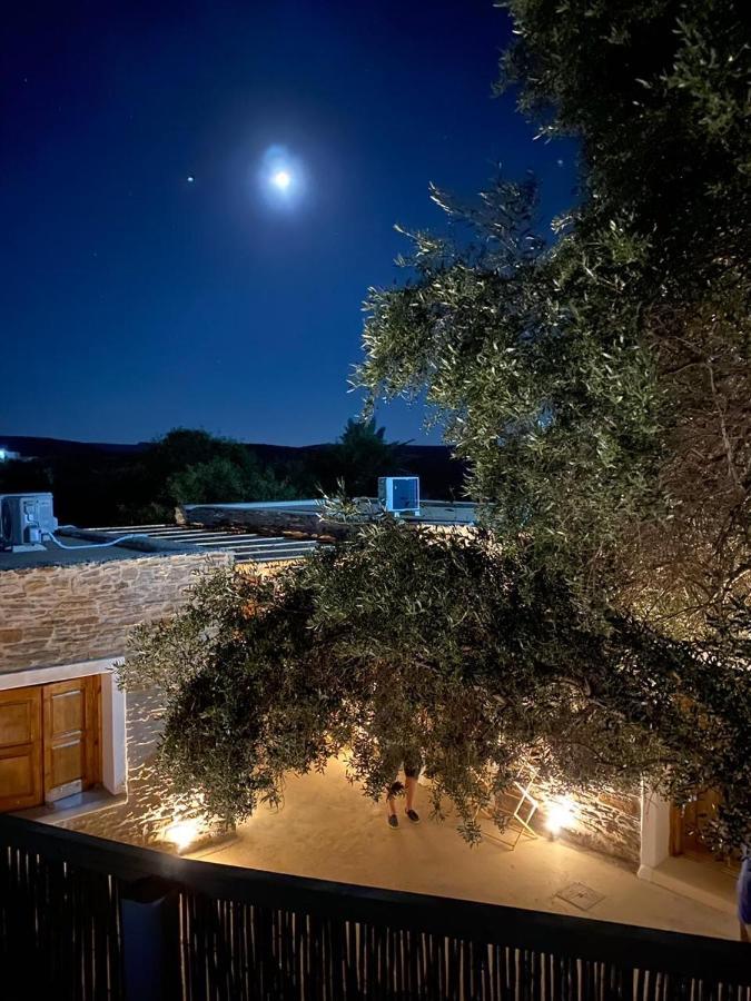 The Olive House Kythnos Διαμέρισμα Εξωτερικό φωτογραφία